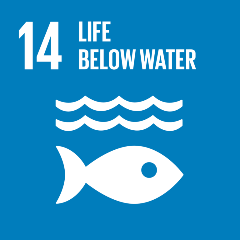 SDG 14 - Ekosistem Lautan