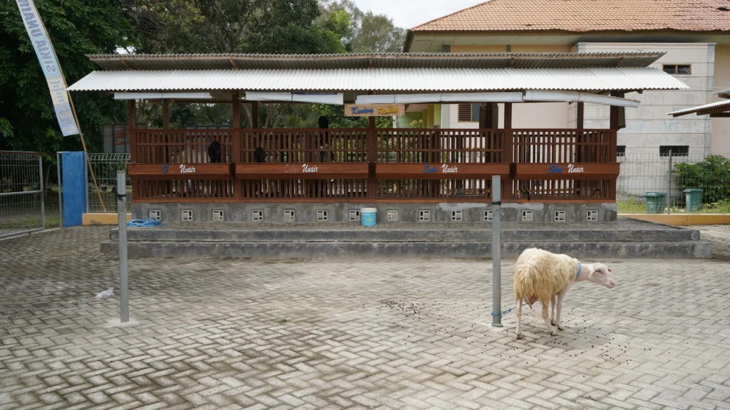 Teaching Farm Kedokteran Hewan